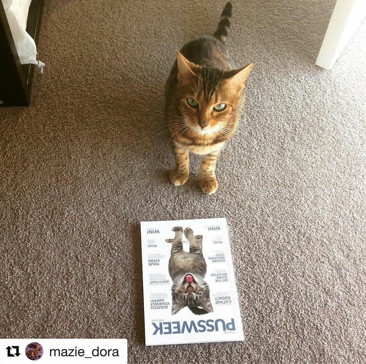 Pussweek Issue One