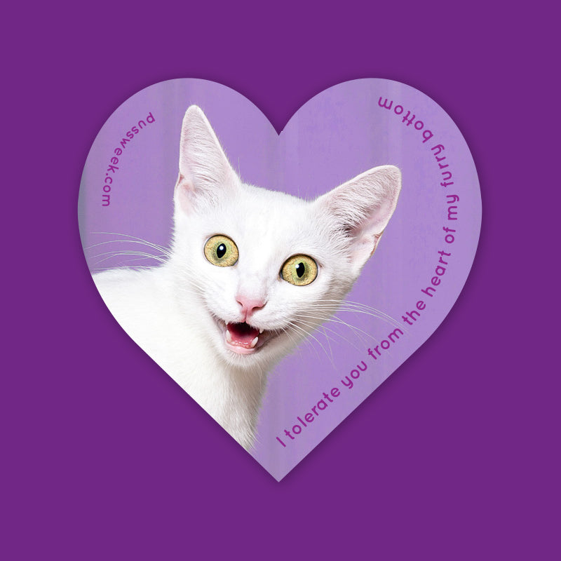 I Tolerate You heart sticker