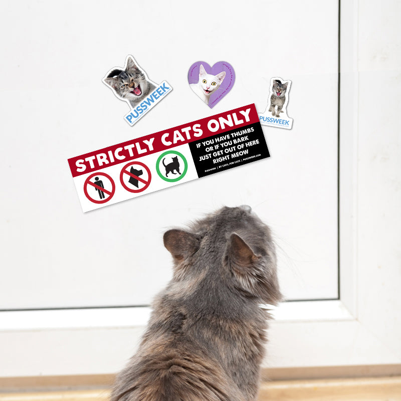 Stick these on everything that belongs to you. So, everything.